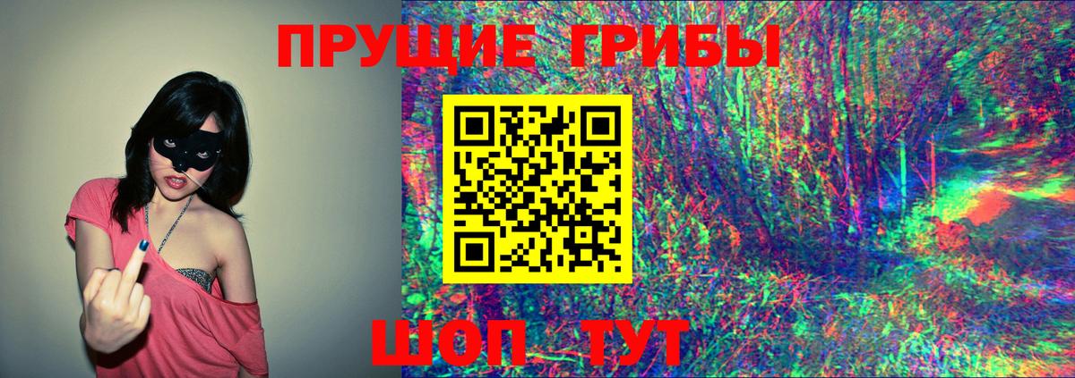 Галлюциногенные грибы ЛСД Тара