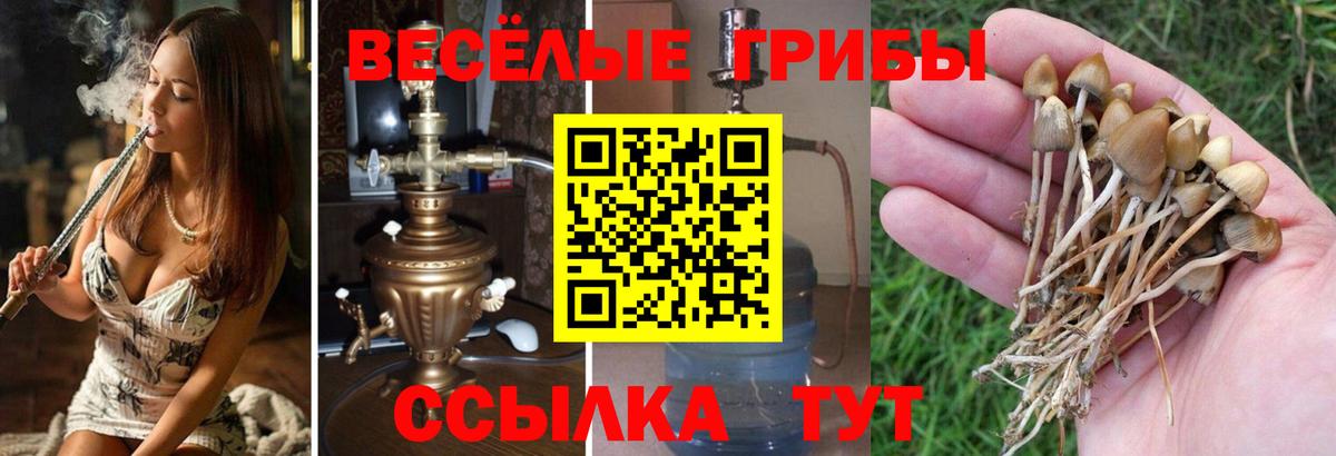 Галлюциногенные грибы мицелий  Вход с VPN  Тара 